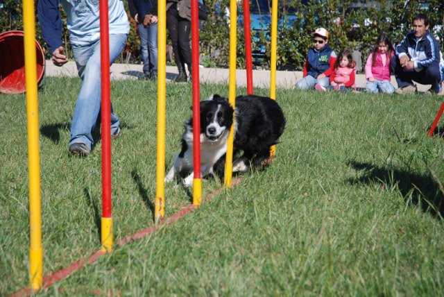 100 strade per giocare 2008
